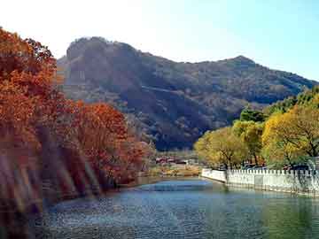 奥门天天开奖免费资料，长毛兔养殖前景